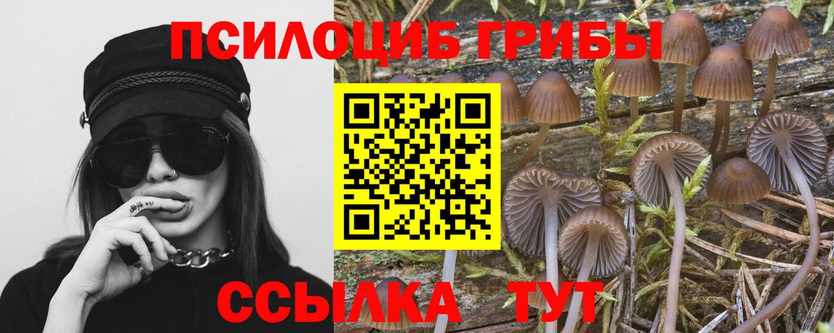 Псилоцибиновые грибы MAGIC MUSHROOMS Омск